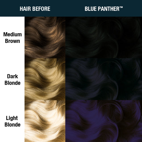 Blue Panther™ - Amplified™, blue black, black blue, deep blue, dark blue, violet based blue, supernatural, shade sheet, hair level chart