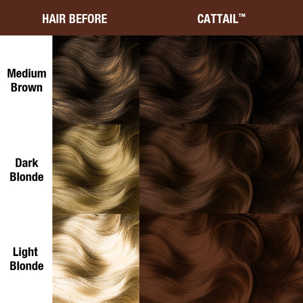 Cattail™ - Amplified™, brown, warm brown, red based brown, chocolate, chocolate brown, supernatural, shade sheet, hair level chart