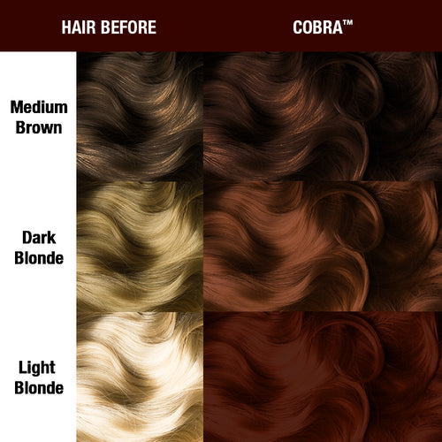 Cobra™ - Supernatural Shades - Amplified™, cocoa, chestnut, brown, red based brown, warm brown, supernatural, shade sheet, hair level chart